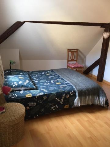 Appartement Au Charme Alsacien Kaysersberg-Vignoble Ngoại thất bức ảnh
